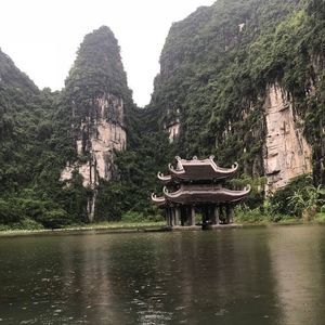 Meet your Posher, Violeta